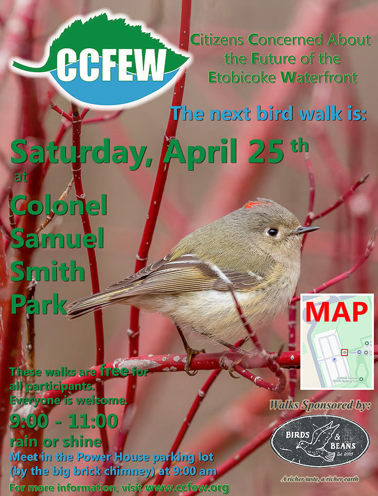 April-2026-Bird-Walk-Poster