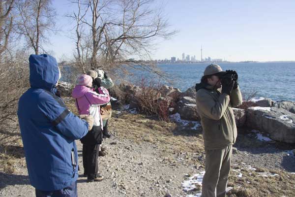 Bird-Watcher-at-the-Point