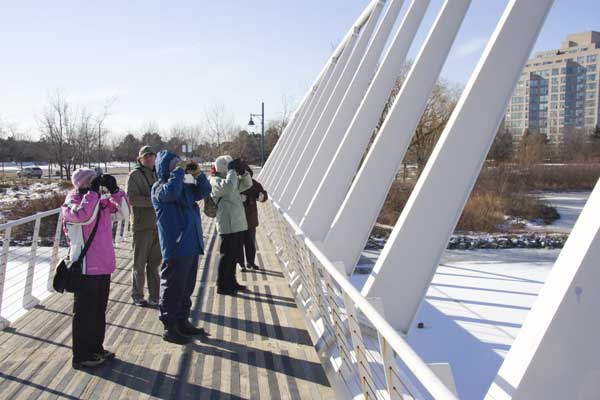Bird-Watchers-at-the-Bridge
