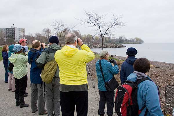 Bird Walk Group 3