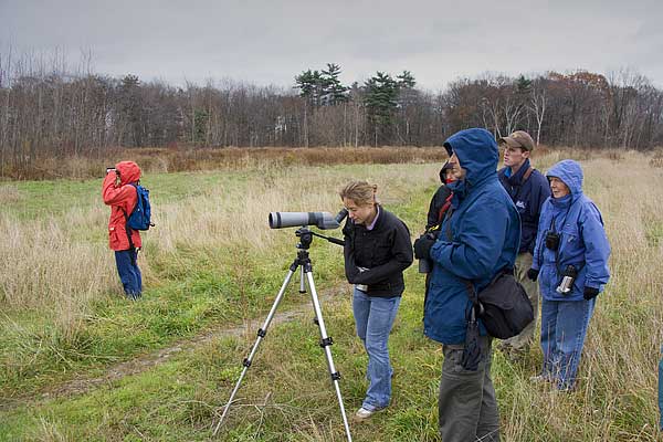 Birders