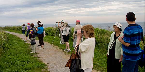 Birders1
