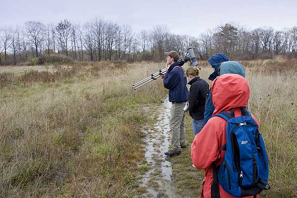 Birders2
