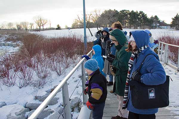 Birders on the Bridge 2
