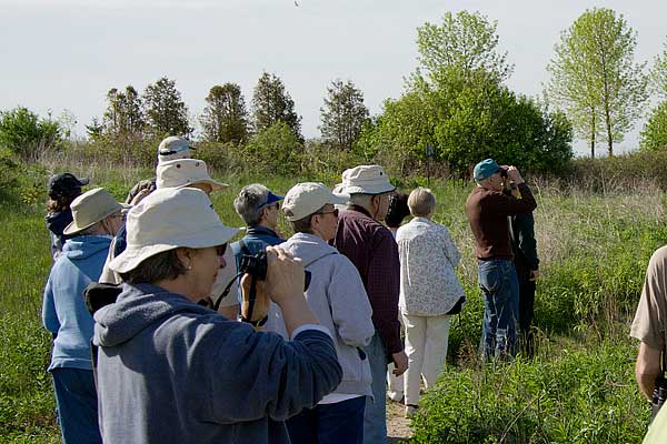 Birdwalkers-2