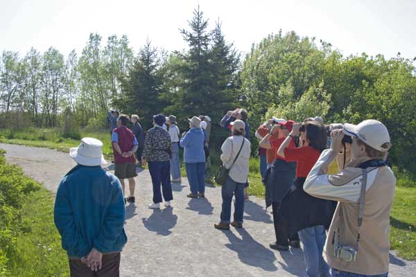 CCFEW-Bird-Walkers-2
