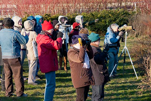 Dec2011Birders