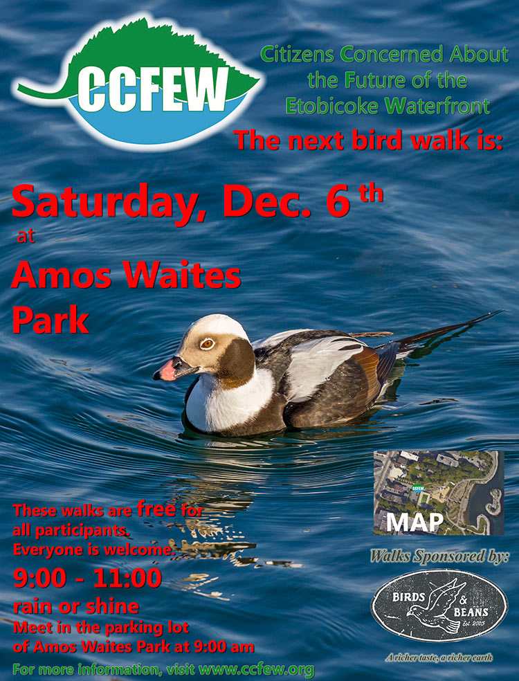 December-2025-Bird-Walk-Poster