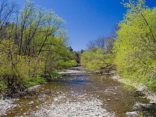Etobicoke-Creek-May-6