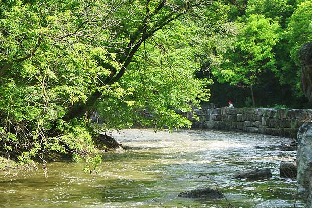 Etobicoke Creek June 2010