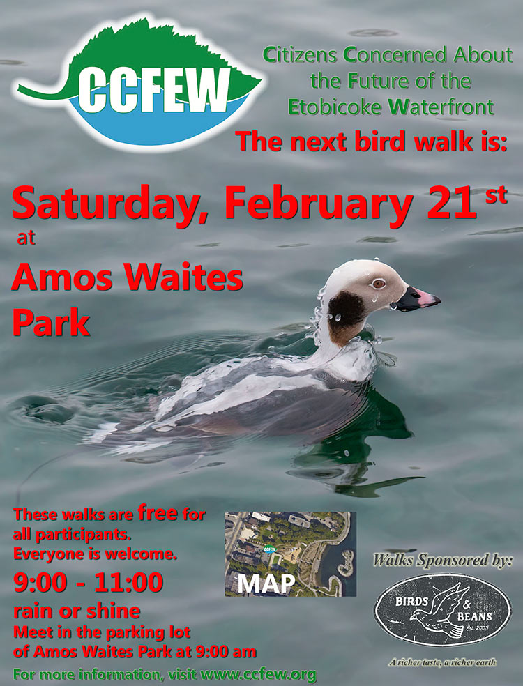 February-2026-Bird-Walk-Poster