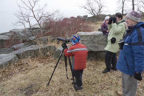 CCFEW Low Scope March 06