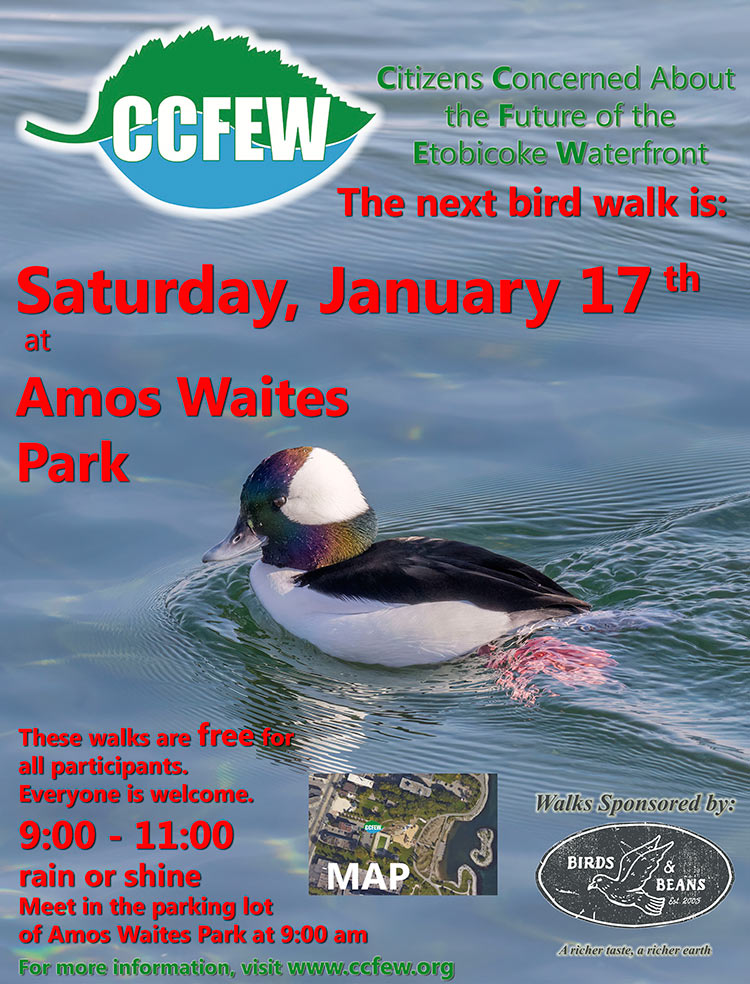January-2026-Bird-Walk-Poster
