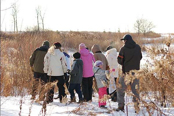 JanuaryBirdwalkers
