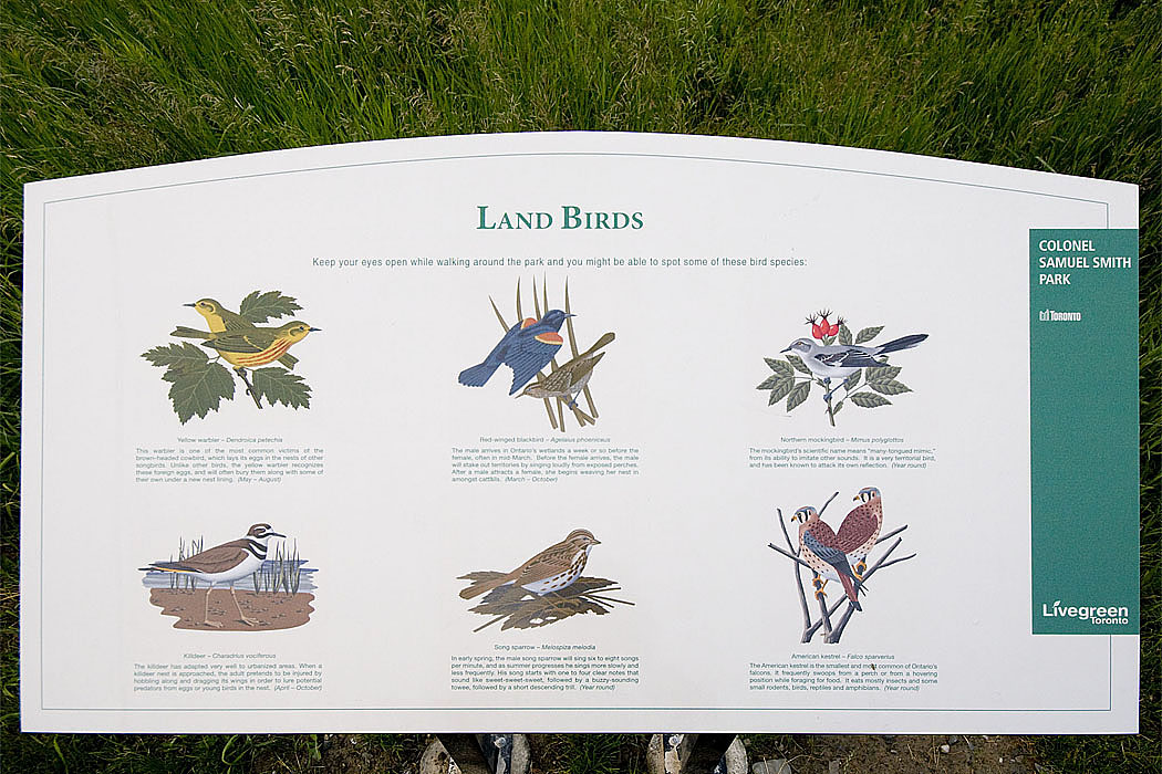 Land Birds