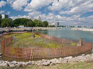 MWLP wetland