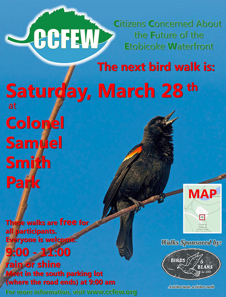 March-2026-Bird-Walk-Poster