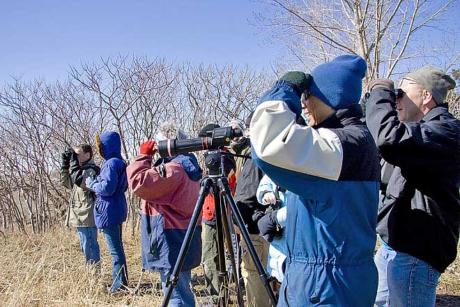 March Watchers