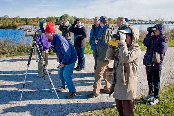 Oct Birders