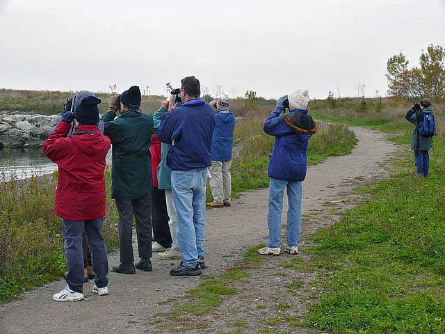 Pic04
