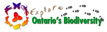 ROM - Explore Biodiversity