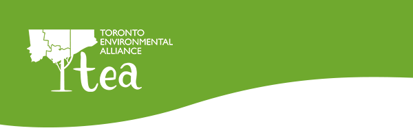 TEA Logo
