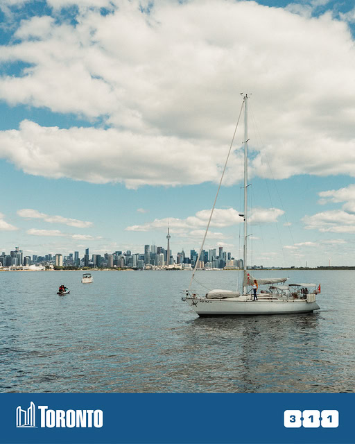 Toronto Survey