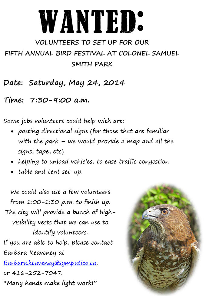 WANTED-bird_festival_volunteers WANTED-bird_festival_volunteers