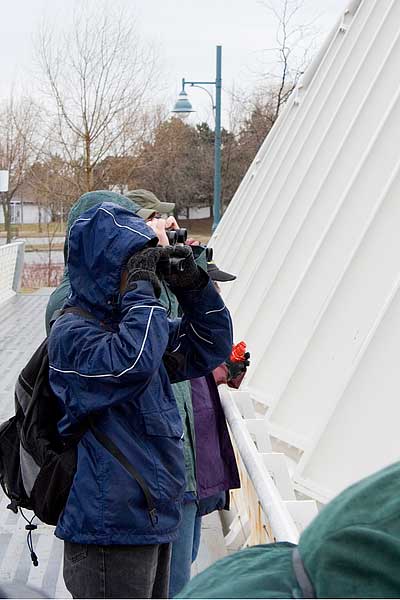 _MG_0611b