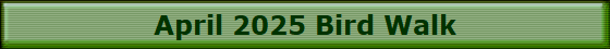 April 2025 Bird Walk