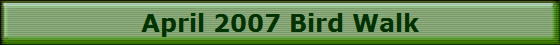 April 2007 Bird Walk