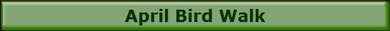 April Bird Walk