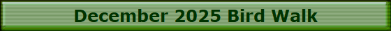 December 2025 Bird Walk