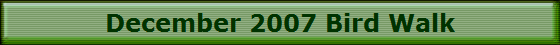 December 2007 Bird Walk