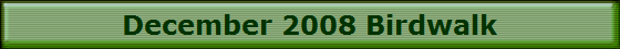 December 2008 Birdwalk