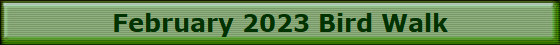 February 2023 Bird Walk