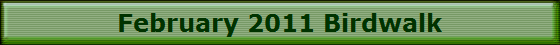 February 2011 Birdwalk