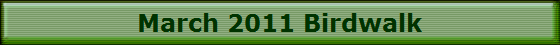 March 2011 Birdwalk