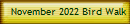 November 2022 Bird Walk