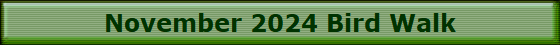 November 2024 Bird Walk