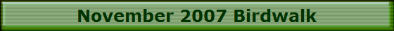 November 2007 Birdwalk