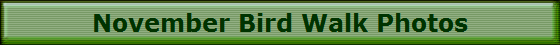 November Bird Walk Photos