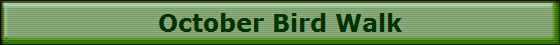 October Bird Walk