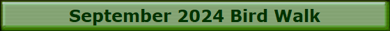 September 2024 Bird Walk