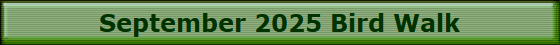 September 2025 Bird Walk