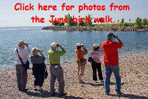 Birders-on-the-beach