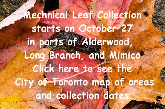 Mechanical leaf colection Mechanical leaf colection