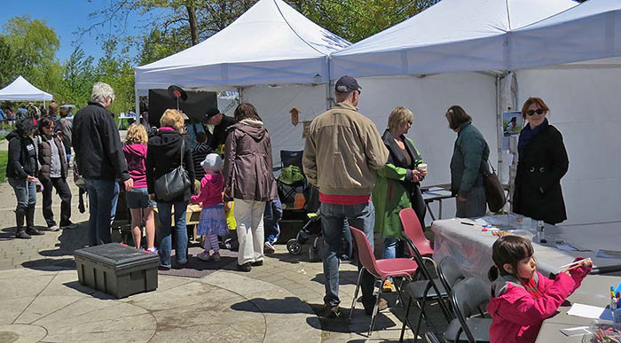 fest-crop fest-crop
