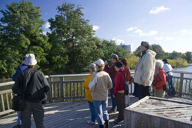 pond-viewing