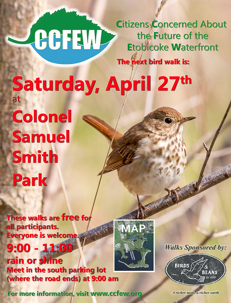 April-2024-Bird-Walk-Poster